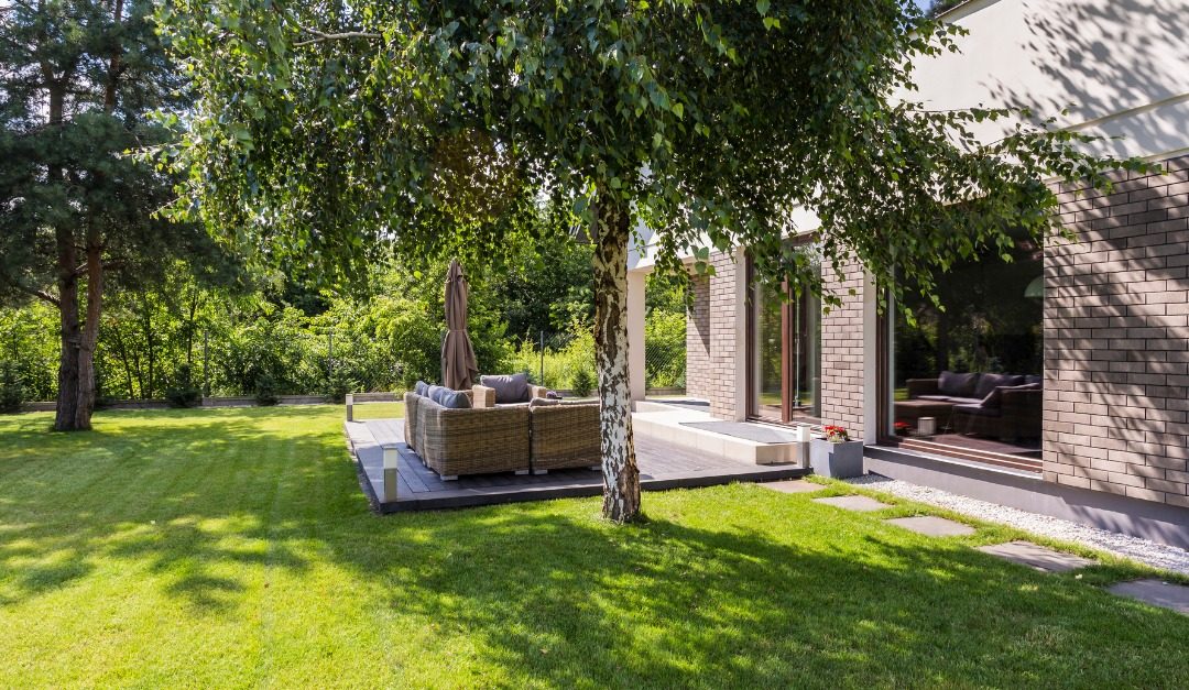 Why You Shouldn’t Plant Trees too Close to Your Deck or Shed