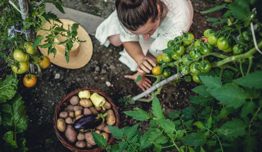 4 Ways to Give Your Backyard Rustic Appeal