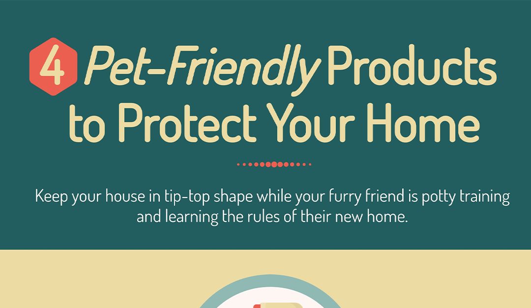 4 Pet-Friendly Products to Protect Your Home