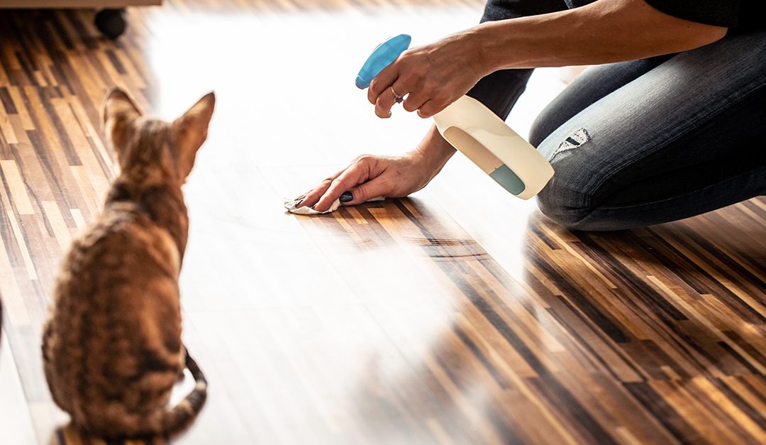 Protect Your Home With These 4 Pet Cleaning Products