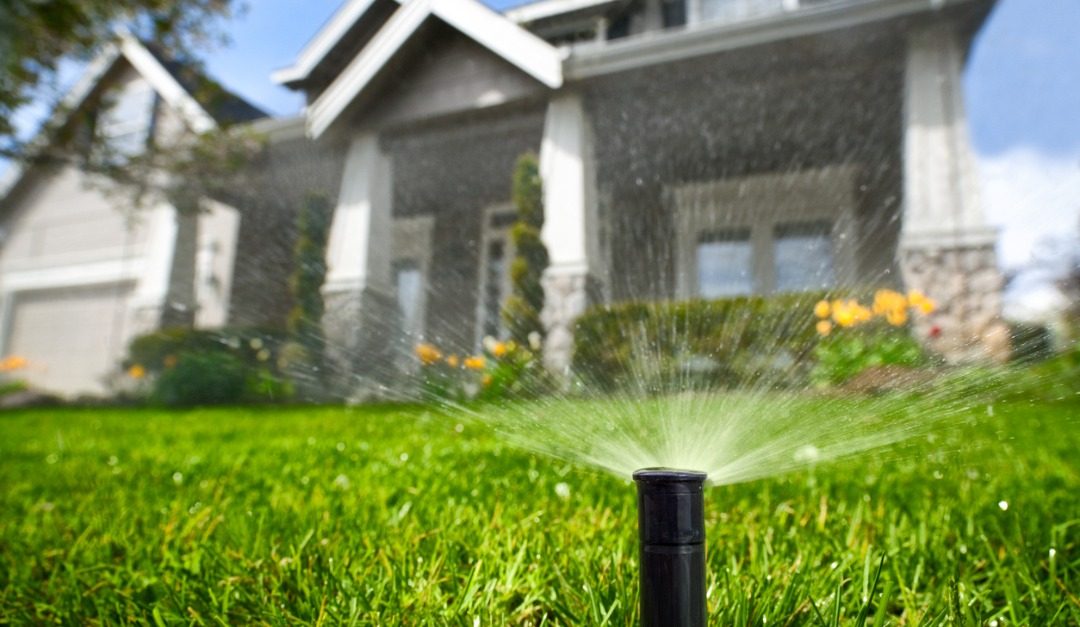 How To Make Your Lawn More Eco-Friendly