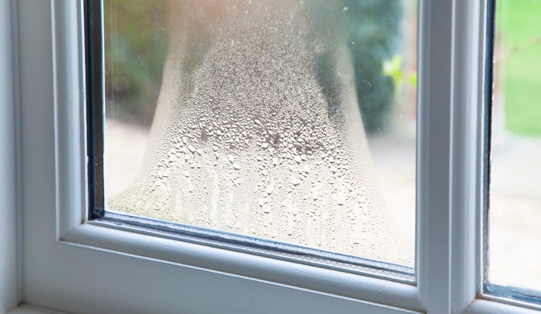 Why Condensation May Mean That It’s Time to Replace Your Windows