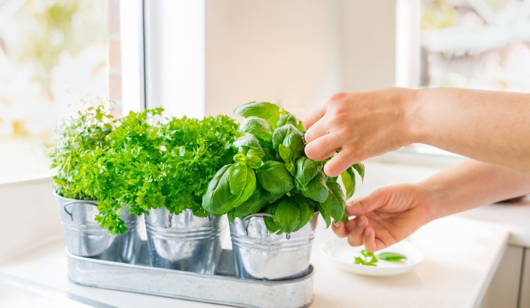 4 Tips to Make Your Kitchen More Eco-Friendly