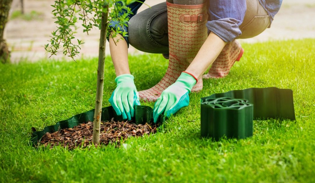 Get Your Yard Ready for Summer