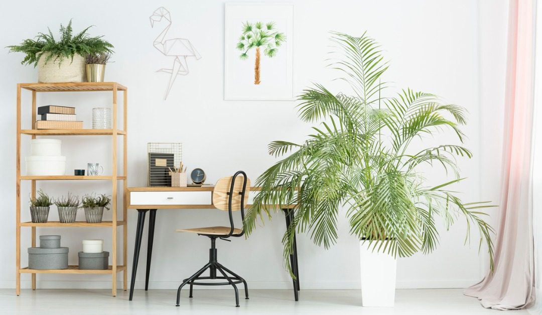 4 Tips for Island-Inspired Interiors