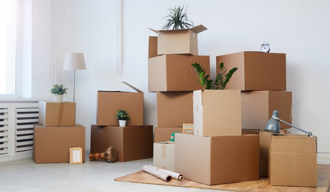 4 Amazing Specialists to Use When Moving