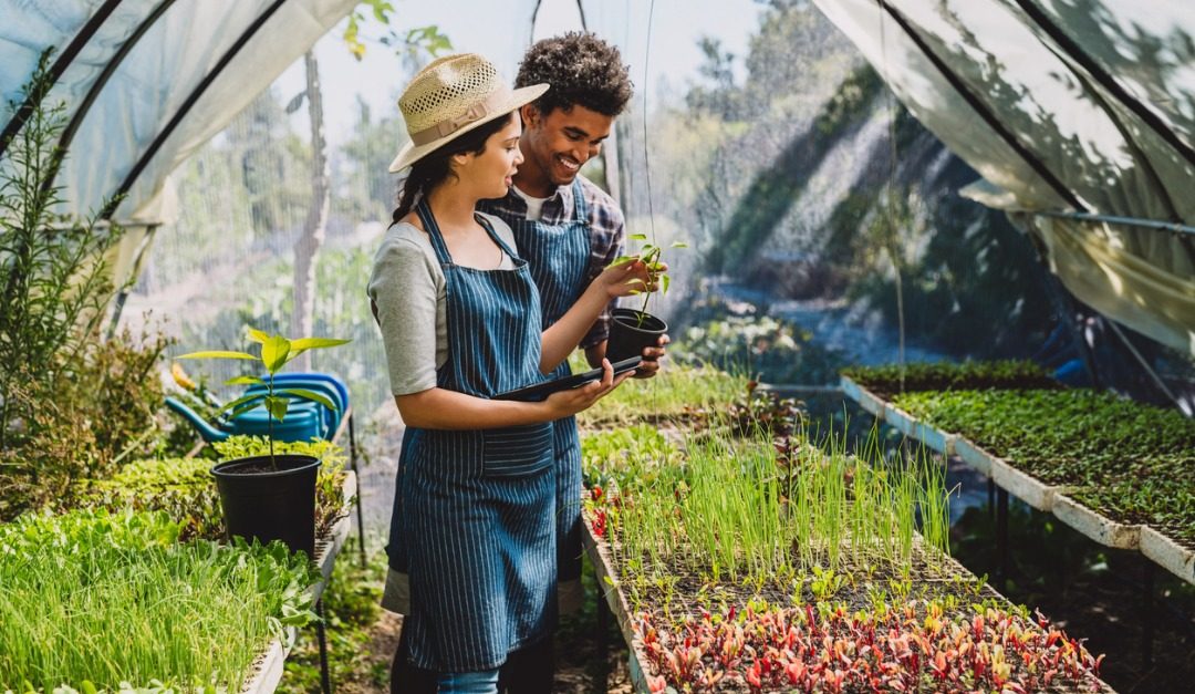 4 Reasons Why Every Gardener Needs a Greenhouse