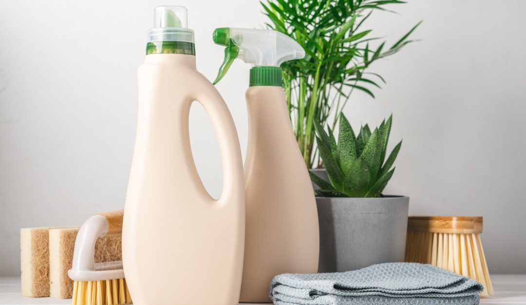 4 Types of Organic Home Products for a Healthier Living Space