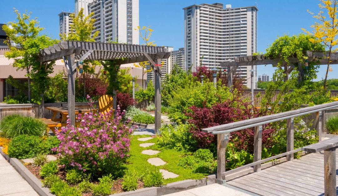 A Guide to Outdoor Urban Spaces