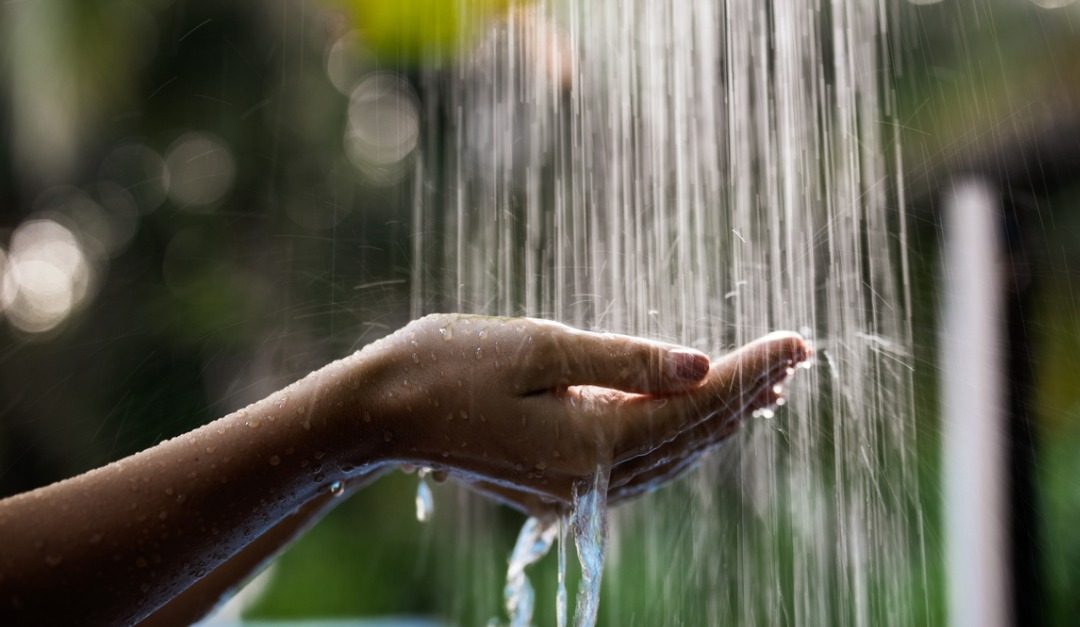 An Urban Oasis: Outdoor Showers in the City