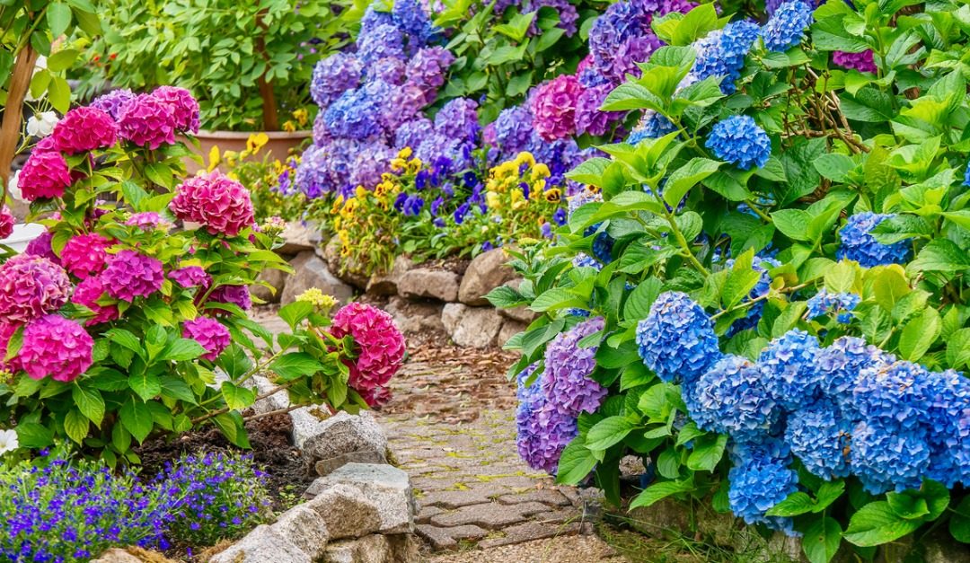 4 Tips for a Gorgeous Garden This Spring