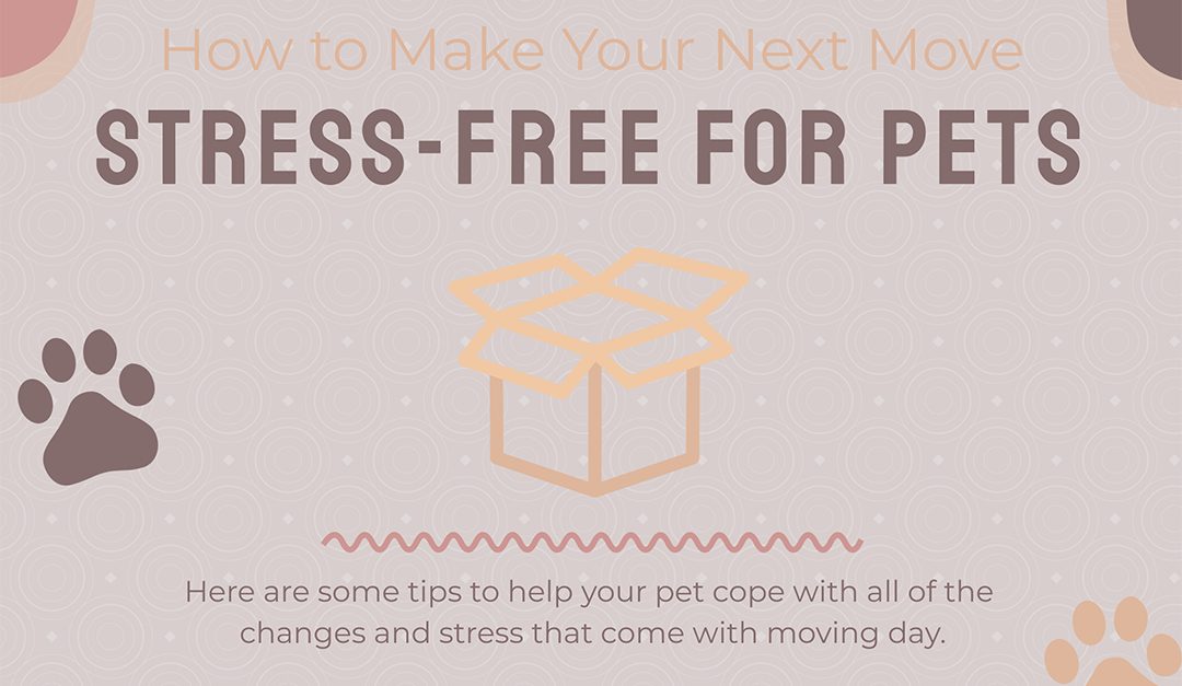 How to Make Your Next Move Stress-Free for Pets
