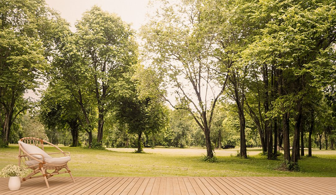 Backyard Upgrades to Spruce Up the Fun