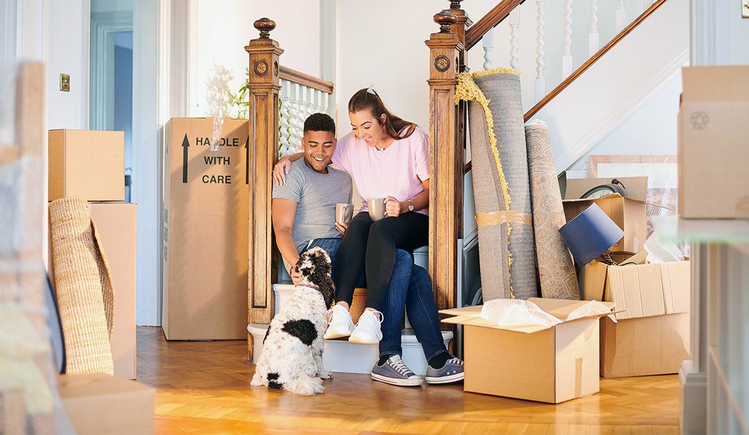 Create a Stress-Free Move for Your Pet