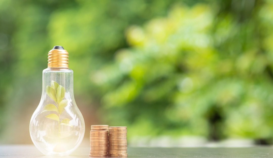 How Planting Trees Can Lower Your Energy Bills