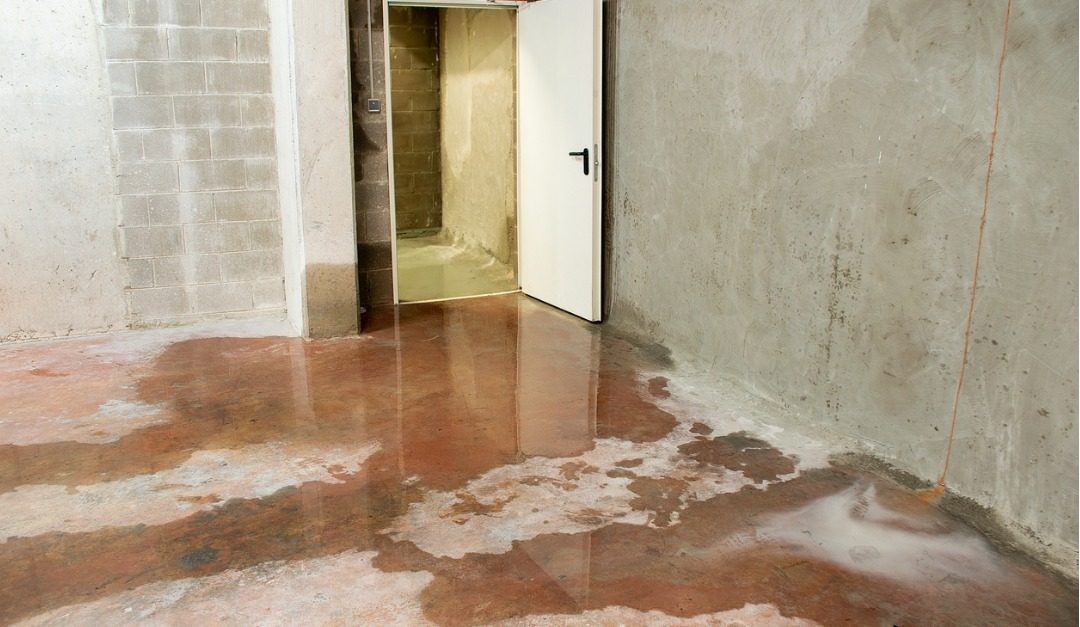 How to Deal With a Moisture Problem in Your Basement