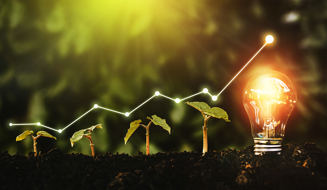 Balanced Economic Growth Ahead, Reports Fannie Mae