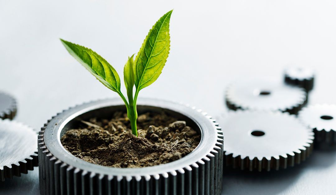 MooveGuru Partnered With Nearly One-Third of Realty Alliance Firms