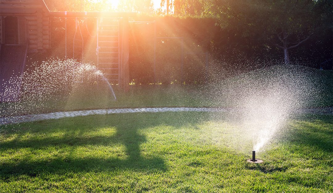 Get Your Yard Summer-Ready