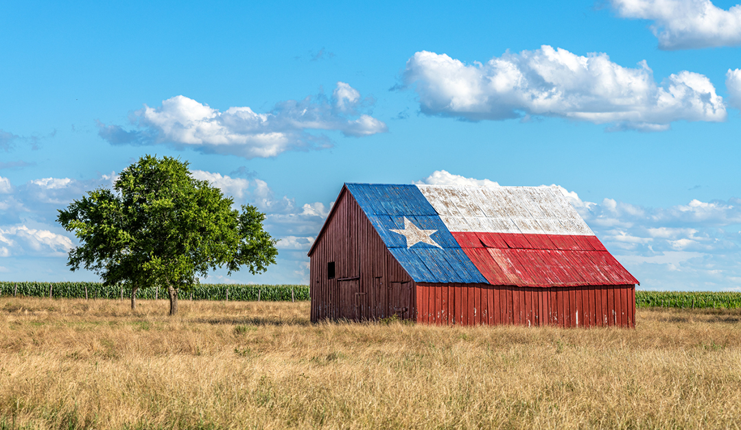 Regional Spotlight: Texas Sees Small Land Sales Boom