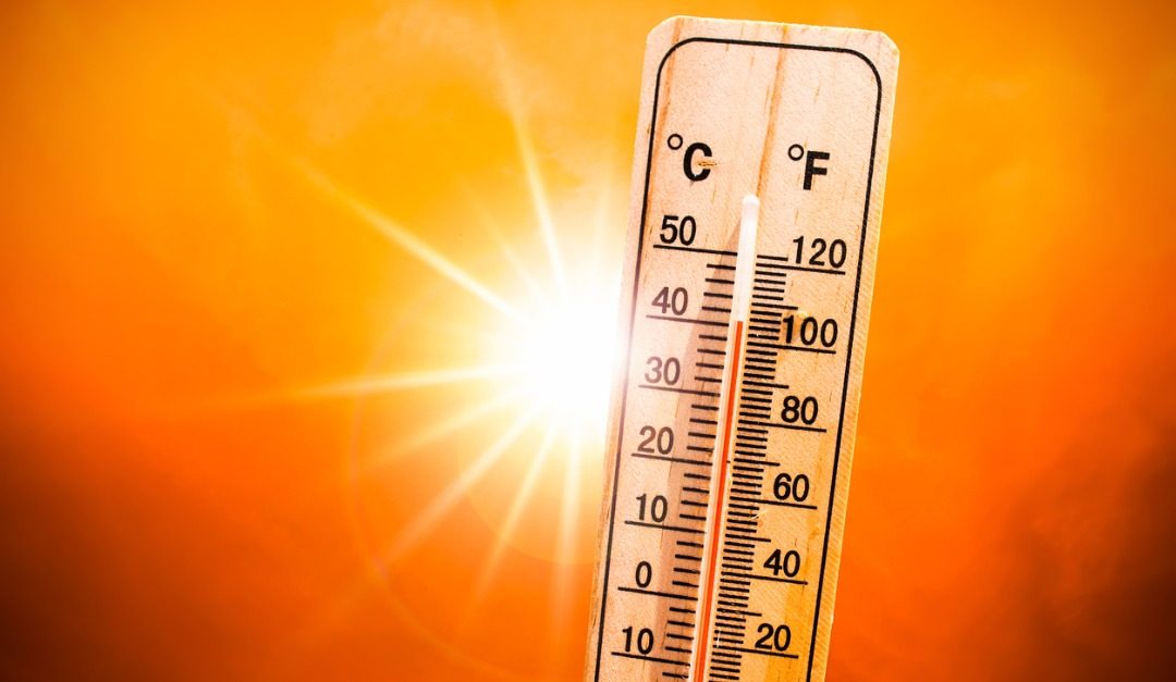 How to Prep Your Home for a Heat Wave