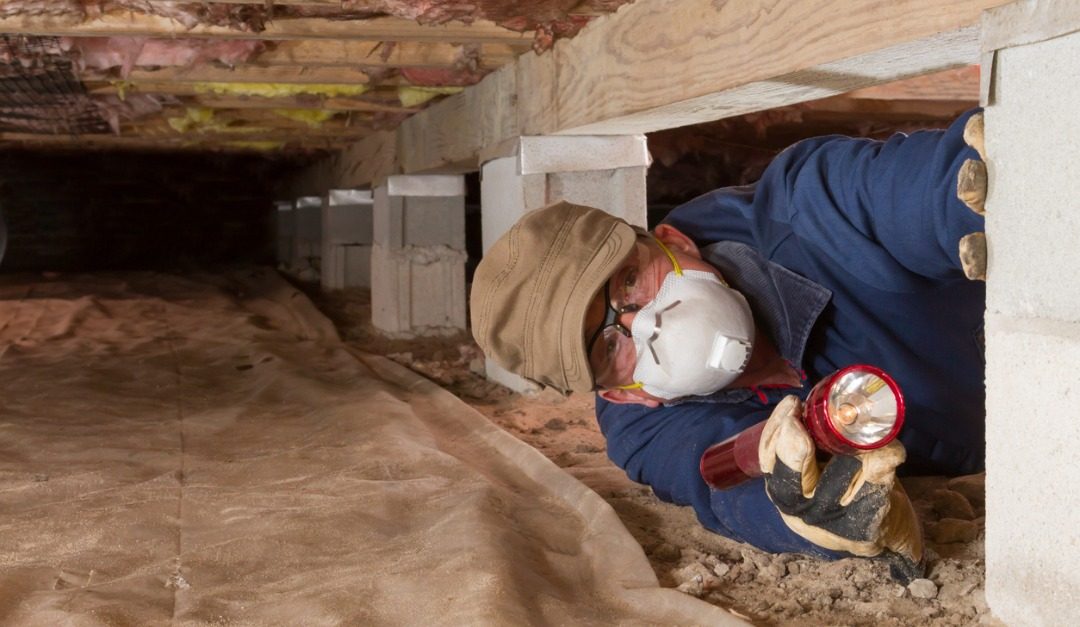 How to Keep Animals Out of Your Crawlspace