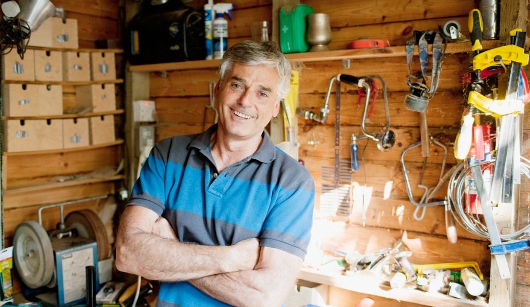 What to Do About Insects in Your Shed