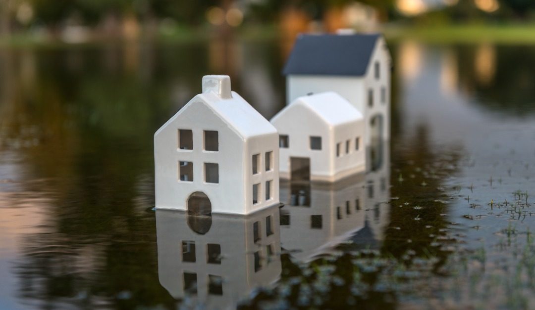 Important Facts to Know When Looking at a Home With Water Damage