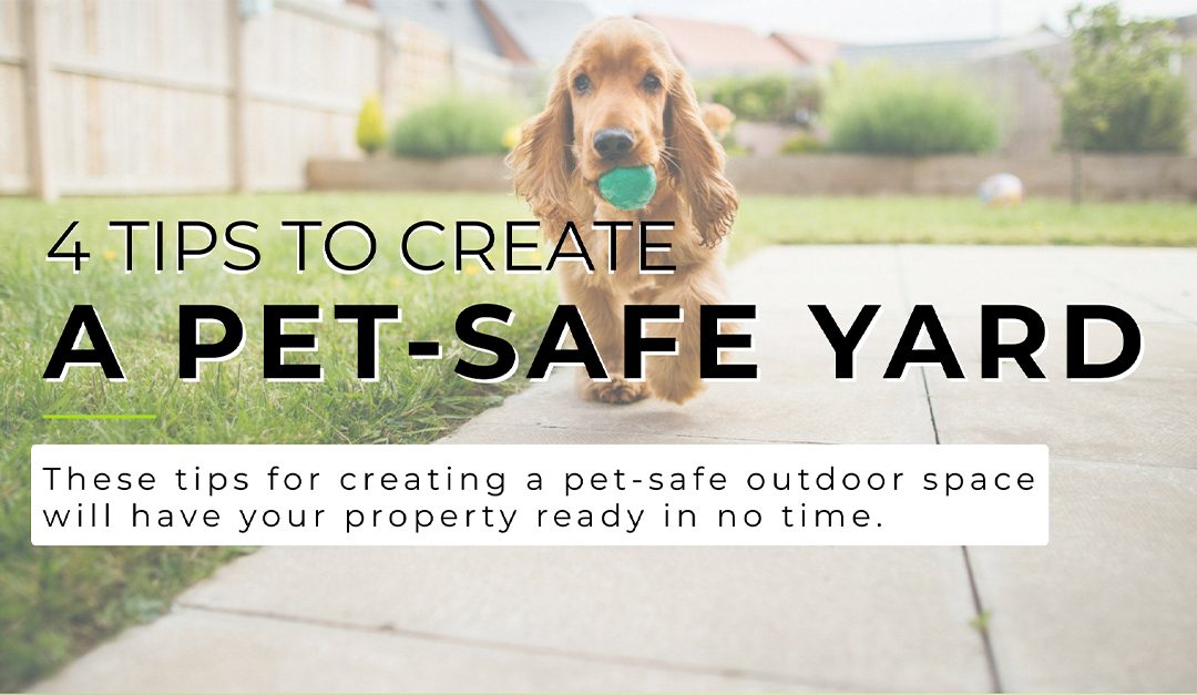 4 Tips to Create a Pet-Safe Yard