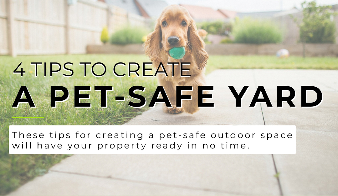 4 Tips to Create a Pet-Safe Yard — RISMedia