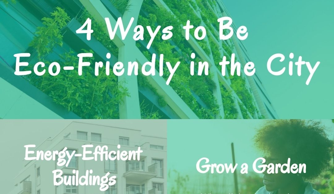 4 Ways to Be Eco-Friendly in the City