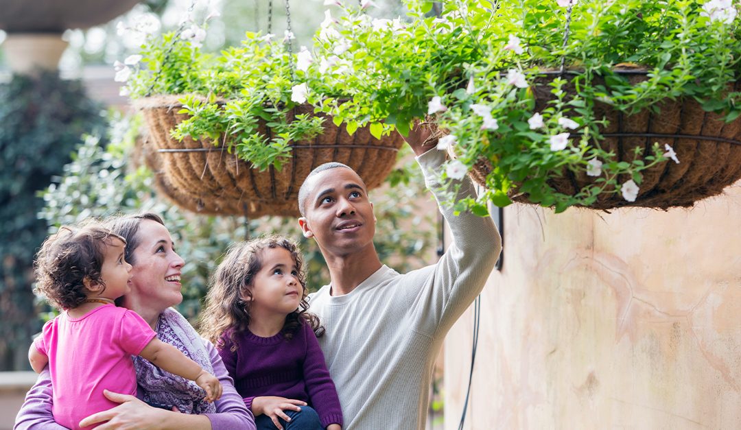 4 Perfect Plants for a Vertical Garden