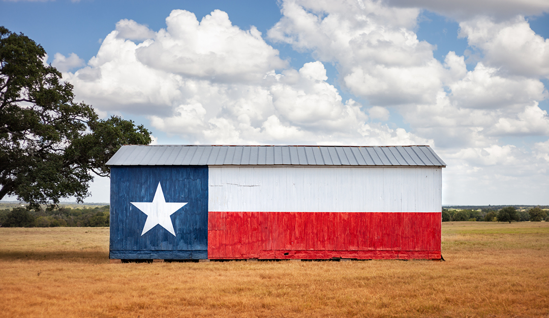 Regional Spotlight: Texas REALTORS® Looks Back at Last Decade