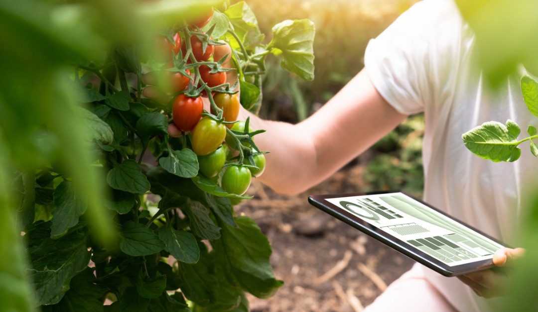 4 Smart Tech Musts for Home Gardeners