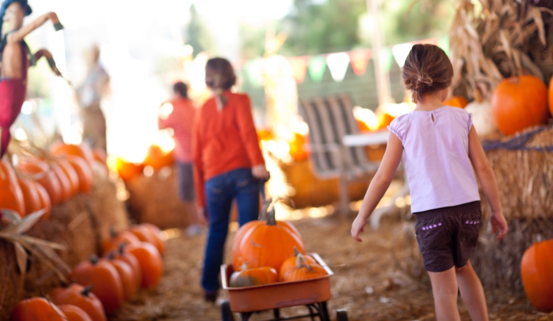 Celebrate Fall With Family Fun Activities