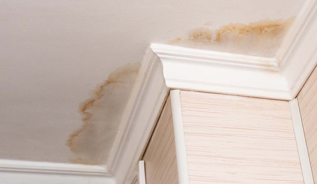 Water Damage: How to Lessen the Threat