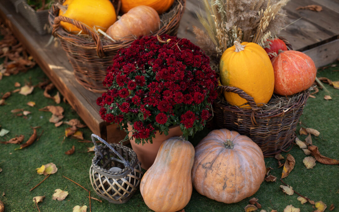 How to Upgrade Your Outdoor Space for Fall