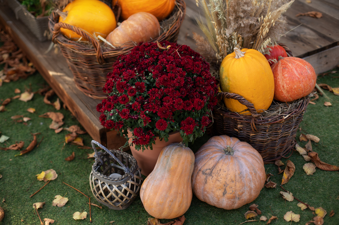 How to Upgrade Your Outdoor Space for Fall